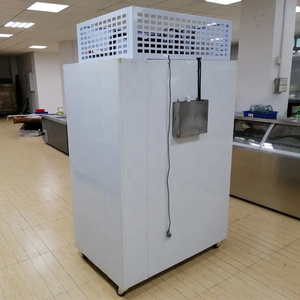 ตู้แช่แข็งลึกอุณหภูมิเดียวสำหรับการค้า1000L 5 ~-15C ที่เก็บปลาแห้งประตูสแตนเลสสตีล - Product Image 5