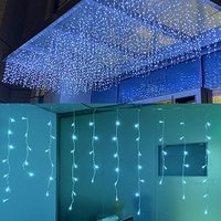 Guirlande lumineuse rideau à lumière LED, 1 m, fil transparent, style vintage, en PVC, lumière de cascade, décoration de vacances