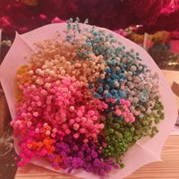 Buket Bunga Gypsophila Kering, Dekorasi Bunga Baby's Breath Awet, Promo Hot Sale