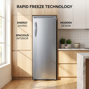 Congelador Vertical Solar de 198L, 12V 24V AC, Doble Alimentación, Puerta Única, Profundo, para Uso Comercial, en Hoteles y Hogares Aislados de la Red, 198L Profesional Vertical - Product Image 3