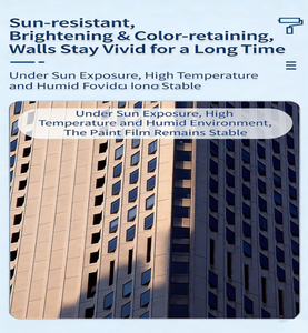 Revêtement protecteur <span class=keywords><strong>transparent</strong></span> en silicone liquide acrylique BAIRIJU pour surfaces extérieures - Product Image 6