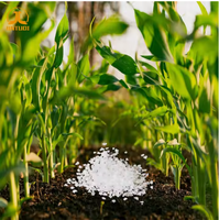 Polymère super absorbant SAP Méthode de mélange du sol conçue pour l'agriculture et la conservation de l'eau dans le sol