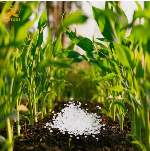 SAP Super Absorbent Polymer Soil Mixing Method Designed for Agriculture and Water Conservation in Soil