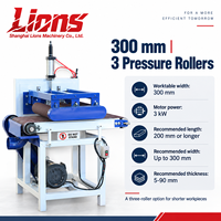 Machine à poncer à bande pour le travail du bois LIONS, largeur 300, 400, 600 mm avec 2 ou 3 rouleaux de pression