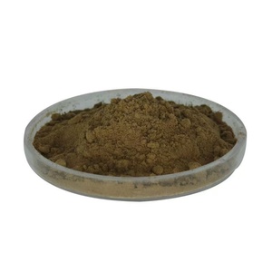 OEM/ODM Polvo de Hongos Reishi, Cola de Pavo, Melena de León, Maitake, Shiitake, Hongo Ostra, Chaga - Product Image 2