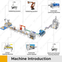 Machine d'emballage de boîte en carton de Sachet de bâton de café ligne de machine de cartonnage de Sachet de sucre de sel de café entièrement automatique