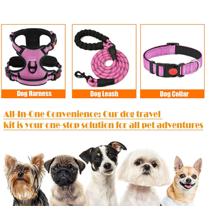 Reflective Dog <b>Harness</b> Leash Collar Set for Small Large Dogs Outdoor Training Walking Breathable Padded <b>Pet</b> Chest Collar <b>Harness</b> - Product Image 2