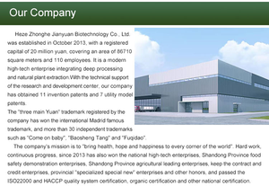 Estratto di semi di Perilla per uso alimentare in polvere integratore sanitario 10:1 20:1 concentrazione di Aloe Vera varietà bottiglia 1kg - Product Image 5