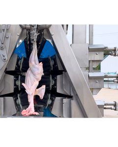 1000bph Công suất lò mổ di động gà tự động giết mổ Dòng Máy chế biến - Product Image 3