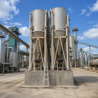 Machine à étuver le riz LIKAI avec contrôle PLC, échangeur de chaleur et moulin à riz, capacité 5-220 T/J, multi-tension (380V/220V/440V)