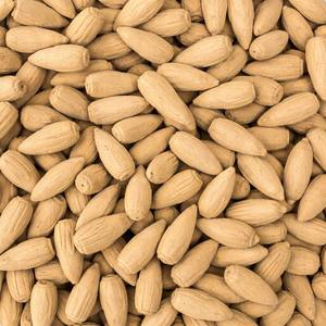 Cônes d'encens en bois d'agar multicolores du Vietnam en gros, répulsifs contre les moustiques, sauge blanche, faits à la main, biologiques, écologiques, aromatiques, personnalisés - Product Image 2