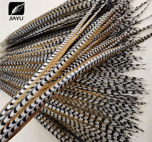 Oferta Especial Pluma de Cola de Faisán Reeves Natural de 60-120 cm para Decoración de Carnaval - Product Image 3