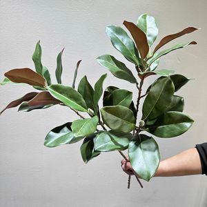Feuilles de Magnolia Artificielles Meng Jie 30cm-100cm en PVC Vert pour Décoration d'Intérieur et Fleurs de Vase - Product Image 1