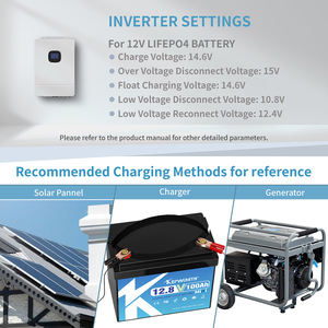 Lifepo4จัดเก็บพลังงานแสงอาทิตย์100Ah 12.8โวลต์พร้อม200ah 100AH BMS 12โวลต์300ah แบตเตอรี่ Lifepo4 - Product Image 4