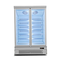 Congélateur vertical commercial à double porte vitrée avec zone de congélation inférieure pour aliments surgelés