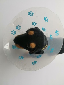 犬のトレーニングのためのペット医療手術のための獣医機器調整可能なプラスチック犬保護創傷コーン - Product Image 3