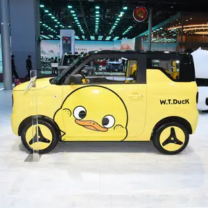 China más barato auto 4 asientos coche Geely geometría Panda Mini eléctrico Ev coche para adultos