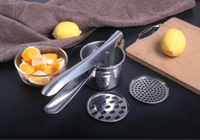 3 Verwisselbare Roestvrijstalen Schijven Voor Handmatige Stamper Voor Babyvoeding & Keuken Fruit & Groente Gereedschap