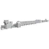Ligne d'extrusion de granulés de macaroni 3D entièrement automatique avec contrôle PLC pour la production industrielle de pâtes
