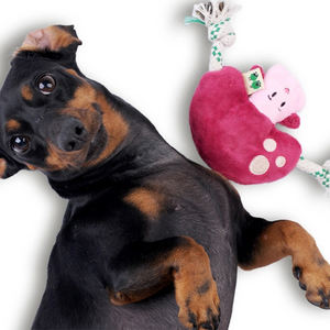 Stokta doldurma ücretsiz mantar köpek peluş oyuncak Squeaker doğal kenevir halat köpek yavru oyuncaklar küçük köpekler için - Product Image 6