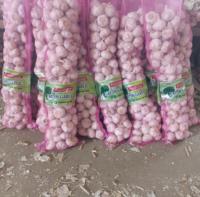 Fournisseur d'ail frais de Chine, ail blanc de qualité supérieure, ail en gros pour l'exportation