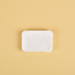 Hot Bán Phân Hủy Sinh Học Ma Thuật Du Lịch Xách Tay Dùng Một Lần Nén Máy Tính Bảng Mặt Khăn Vệ Sinh Khăn - Product Image 4