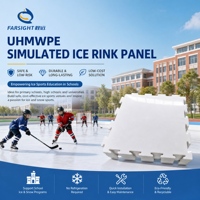 Panneaux de glace synthétique légers en UHMWPE, dalles de patinoire artificielle, transport facile, patinage portable