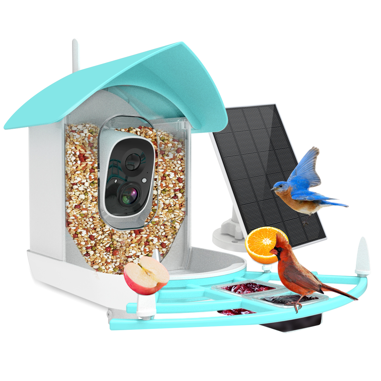 USeeworld Mangeoire Intelligente Pour Oiseaux Avec Caméra, Détection