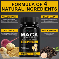 Capsules d'extrait de racine de maca pour l'énergie et le soutien immunitaire, 60 capsules (pour hommes, femmes et adolescents)