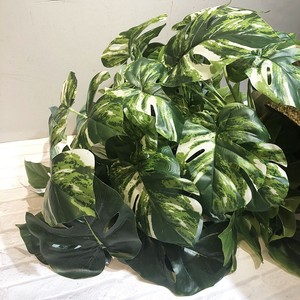 Vente flash : Grandes feuilles tropicales artificielles, feuillage de calla, toucher réaliste pour la décoration de la maison, de l'hôtel, des mariages et des fêtes - Product Image 6