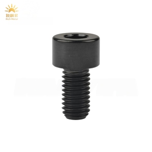 Vis à tête hexagonale en titane Gr1 Gr2 toutes tailles M2 M3 <span class=keywords><strong>M5</strong></span> M6 M8 <span class=keywords><strong>ISO</strong></span> <span class=keywords><strong>4762</strong></span>/ DIN912 - Product Image 2