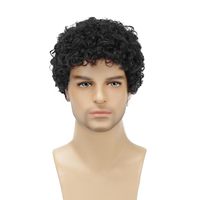 Perruque Afro Synthétique Réglable et Moelleuse pour Hommes et Femmes, Idéale pour Cosplay, Anime, Fêtes d'Halloween, Perruques Fantaisie Amusantes, Transparente, Petite Taille 150%