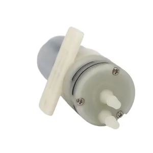 6V 12 Volt Dc Hoge Druk Super Micro Waterpomp Voor Massager