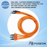 Harness Kabel Bus DC Tegangan Tinggi Khusus EV 600V Konduktor Tembaga Berpenampang Besar untuk Modul Baterai