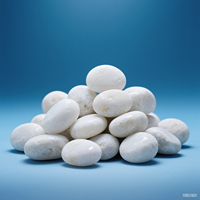 Мраморные гальки Natura Tumbled Snow White, мелкие булыжки, речной камень для декора экстерьера вилл и парков, натуральный камень