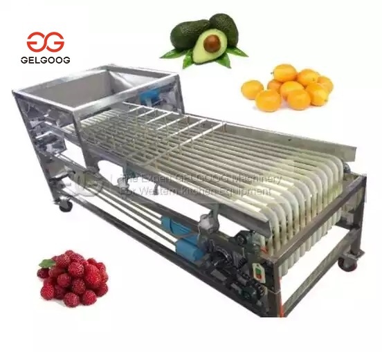Vegetable/Fruit Sorting Machine Olive Jujube Date Palm Plum Lemon Strawberry Blueberry Shame Areca Mangosteen Grading Machine