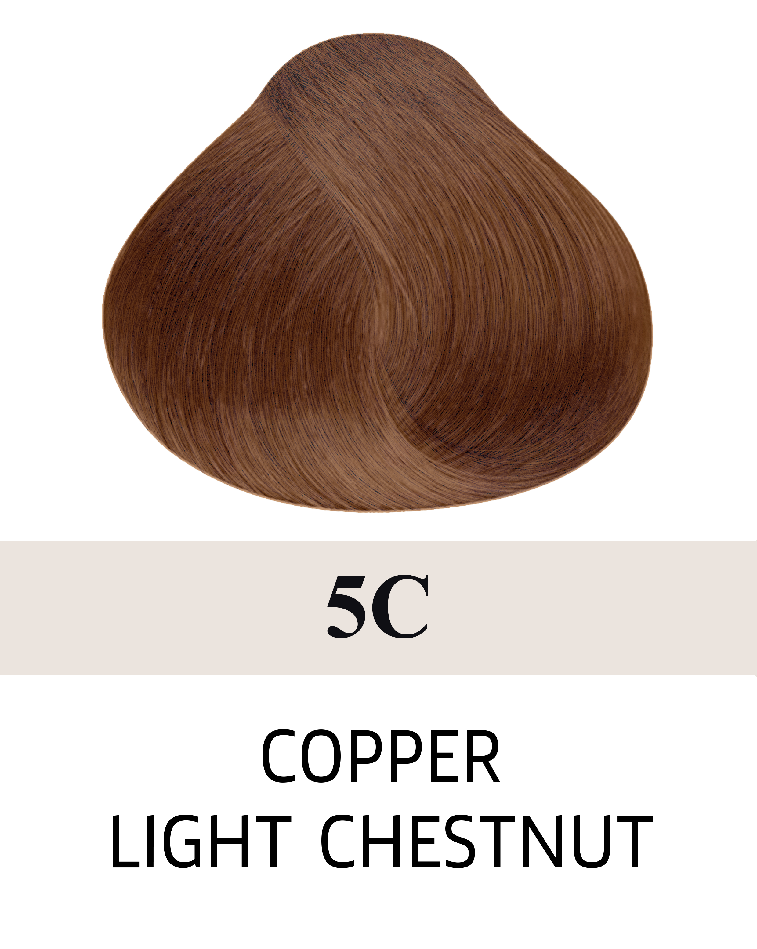 5C Copper Light Chestnut