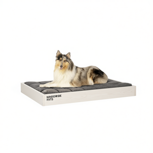 Minimalistic <b>Dog</b> <b>Bed</b> White Pine Wood Rectangle <b>Memory</b> <b>Foam</b> Pet <b>Bed</b> Indoor All Seasons Removable Washable - Product Image 1