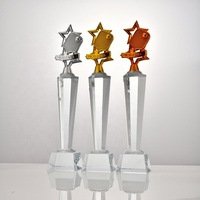 Trophée en cristal personnalisé, écologique, gravé au laser, poli, pour les compétitions scolaires, prix de pickleball sécurisé