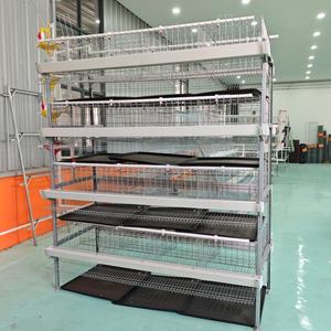 Gabbia della batteria della gabbia di pollo di tipo H dell'attrezzatura commerciale del pollame per lo strato della gabbia della batteria del pollo dello strato per la Tailandia - Product Image 2
