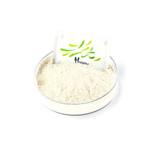 공장 직접 공급 식품 등급 후코이단 추출물 분말 순수 후코이단 분말 드럼 포장 - Product Image 2