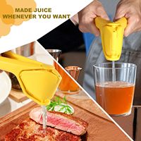 Presse-agrumes manuel robuste et efficace pour citrons, citrons verts et oranges