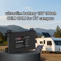 Batterie LiFePO4 Cyclenpo Ultra Slimline 12,8V 100Ah pour véhicules électriques et appareils électroniques grand public avec 6000 cycles