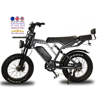 Nouveau design 250 watts 48v moteur de moyeu arrière 20 pouces Vintage E Bike VOMO X80 BIKE Electr Bike entrepôt européen X80 EBike