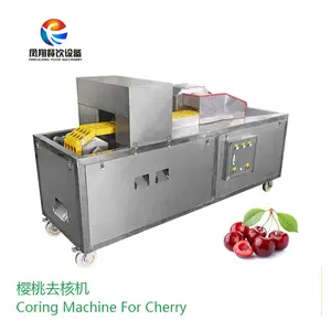 Industrial Commercial Cherry Destone Machine, Electric Cherry Pitter Pitting Machine