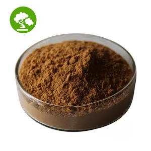 100% Pure Natural 10% ~ 50% Polisacárido Ganoderma Lucidum Reishi Extracto de hongo