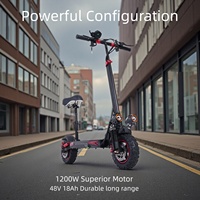 Özel Yapım 1200W 48V 18Ah Alüminyum Alaşımlı Katlanabilir Su Geçirmez Elektrikli Scooter E-Scooter, 50KM Uzun Menzil ve 55KM/s Maksimum Hız ile