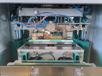 Machine de remplissage automatique sous vide six faces Ewinall DCS-720B : Solution idéale pour l'emballage de riz et de céréales en briques de 0,3 à 5 kg