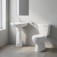 Ensemble de salle de bain combiné: Sanitaire en céramique blanche-2 pièces toilettes et lavabos sur pied à prix compétitif