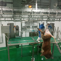 Abattoir casher pour bovins avec équipement de transformation de la viande de veaux
